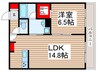 MILLE　TWA　氷川町 1LDKの間取り