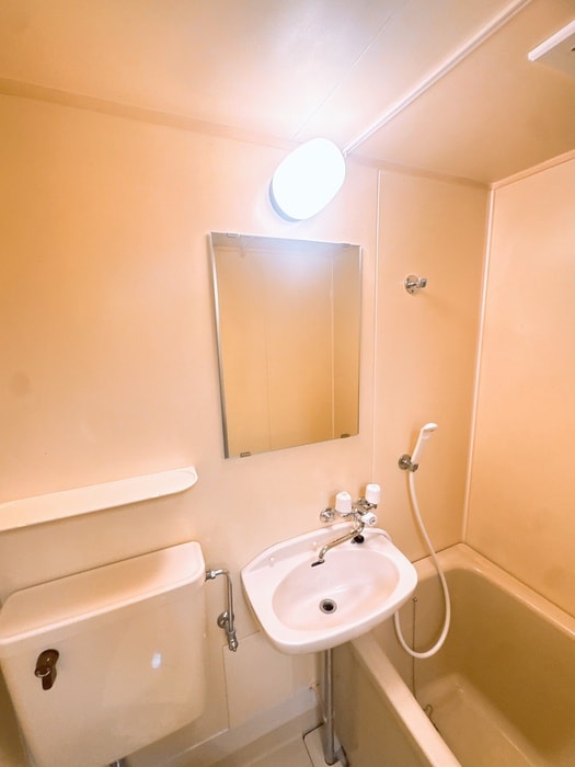 洗面 フレスノパ－ク西原