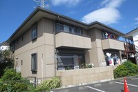 ＳＩＬＶＩ　ＣＯＲＡ