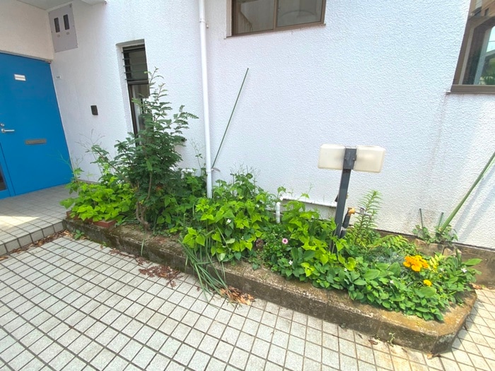 エントランス部分 亀谷マンション