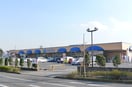 マルフジ　東久留米店(スーパー)まで96m メゾンアイエス