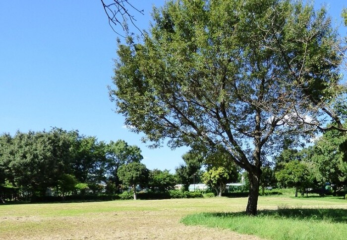 府中市郷土の森公園(公園)まで850m あきばハイツ