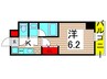 ＤＩＰＳ亀有駅前（306） 1Kの間取り