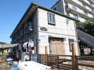ハイビスカスの外観