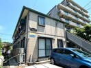 ハイビスカスの外観