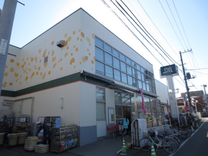 FUJIスーパー鳥山店(スーパー)まで1000m ガ－デンホ－ムズ小机
