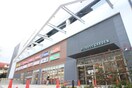 クロスガーデン調布店(電気量販店/ホームセンター)まで750m グランディール菊野台