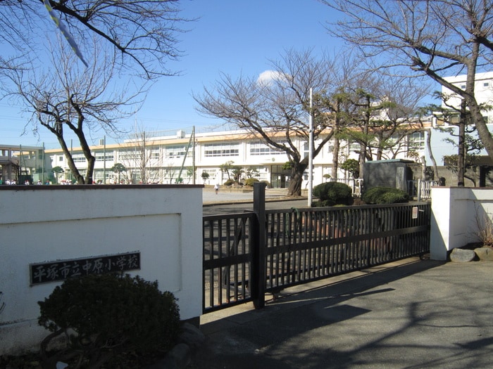 中原小学校(小学校)まで150m ヴィレッジコマ