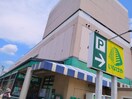 いなげや 狛江東野川店(スーパー)まで550m ファミールつつじヶ丘