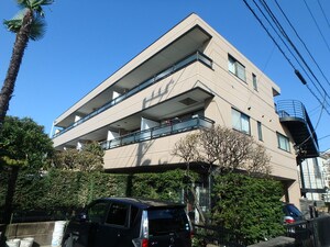 プラムコ―ト