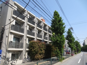 ﾕﾅｲﾃｯﾄﾞｸﾞﾛｰ文京白山(206)