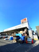 建デポ(電気量販店/ホームセンター)まで310m Ｓｈｏｊｉａｎ