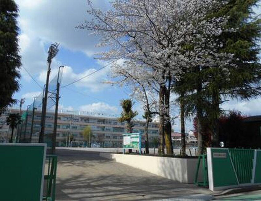 川口市立柳崎小学校(小学校)まで240m S-RESIDENCE東浦和agua