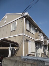 ペルテ・ハイローズB