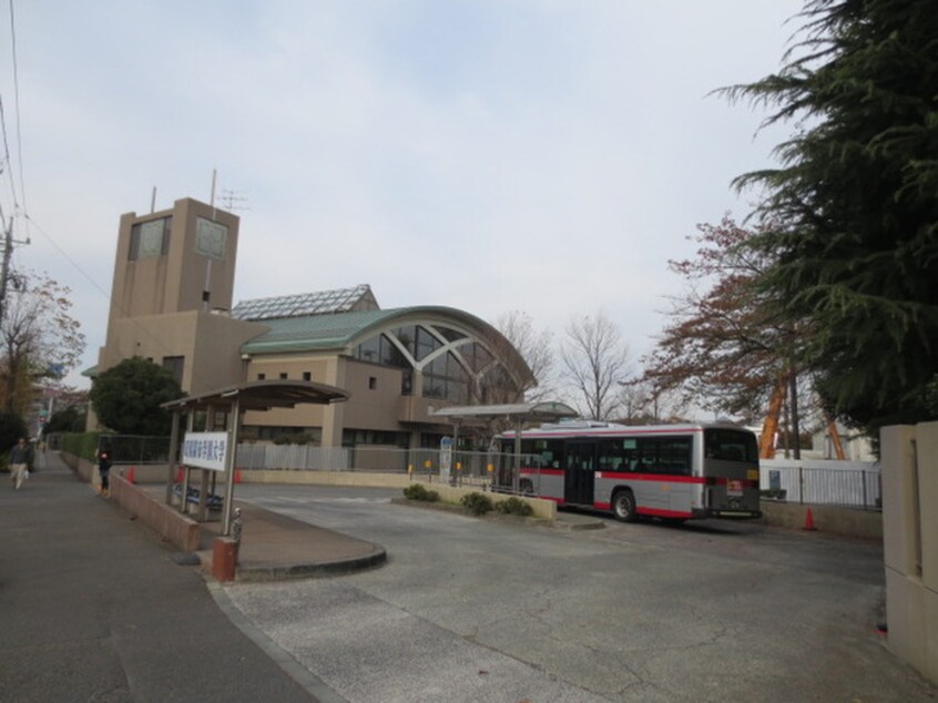 田園調布大学(大学/短大/専門学校)まで951m 大富士ハイツ