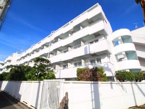ｳｨﾝﾍﾞﾙｿﾛ大泉学園第１(508)