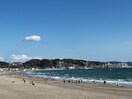 由比ヶ浜海岸(公園)まで677m 一の鳥居ハイツ