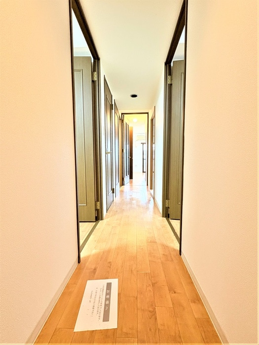 廊下 ダイアパレス上福岡Ⅲ(306)