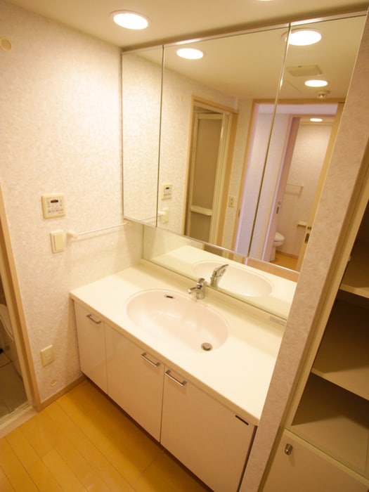 洗面 ロイヤルパ－ク多摩川２番館