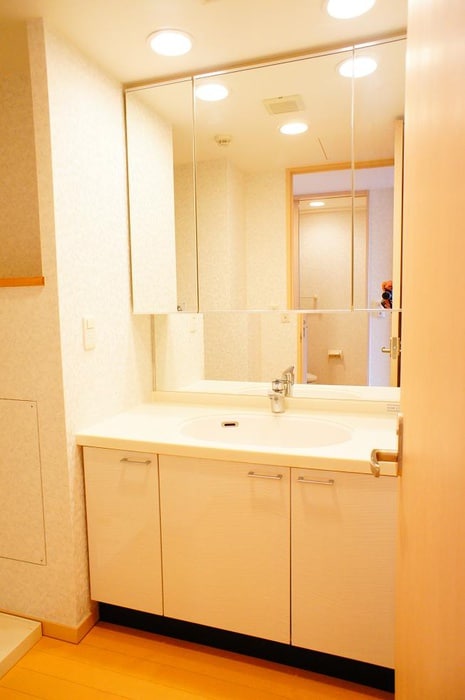 洗面 ロイヤルパ－ク多摩川２番館