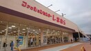 ファッションセンターしまむら登戸店(ショッピングセンター/アウトレットモール)まで650m ロイヤルパ－ク多摩川２番館