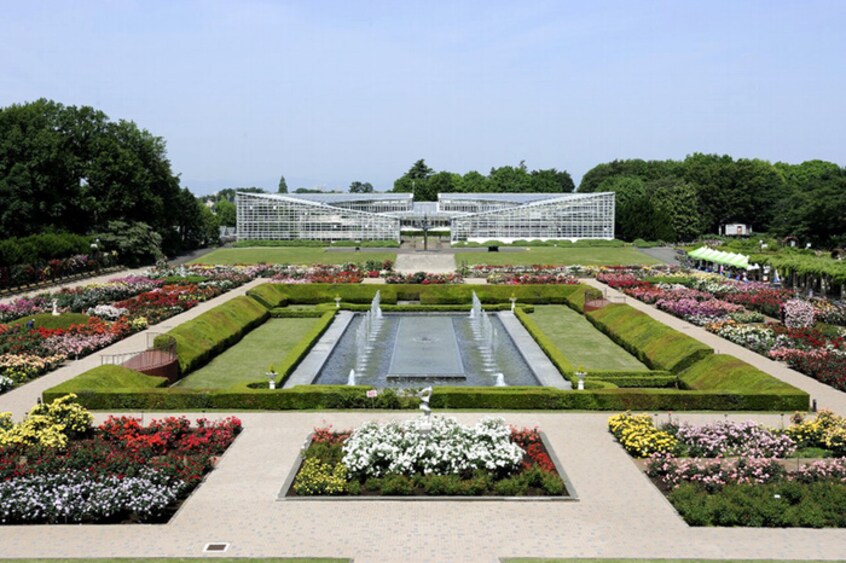 神代植物公園(公園)まで350m グリ－ンヒル