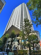 ｳﾞｨﾅｼｽ金町ﾀﾜｰﾚｼﾞﾃﾞﾝｽ（８０１）