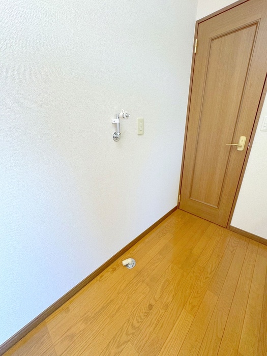 洗面 フレンドシップ狭山ヶ丘