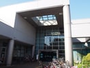 高津図書館(図書館)まで400m ウッディモアル