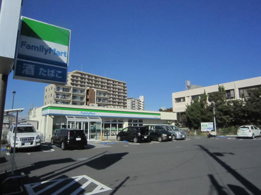 ファミリーマート(ドラッグストア)まで208m ルックハイツ江ノ島２番館