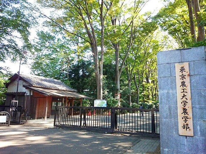 東京農工大学(大学/短大/専門学校)まで600m 第三平和コーポ