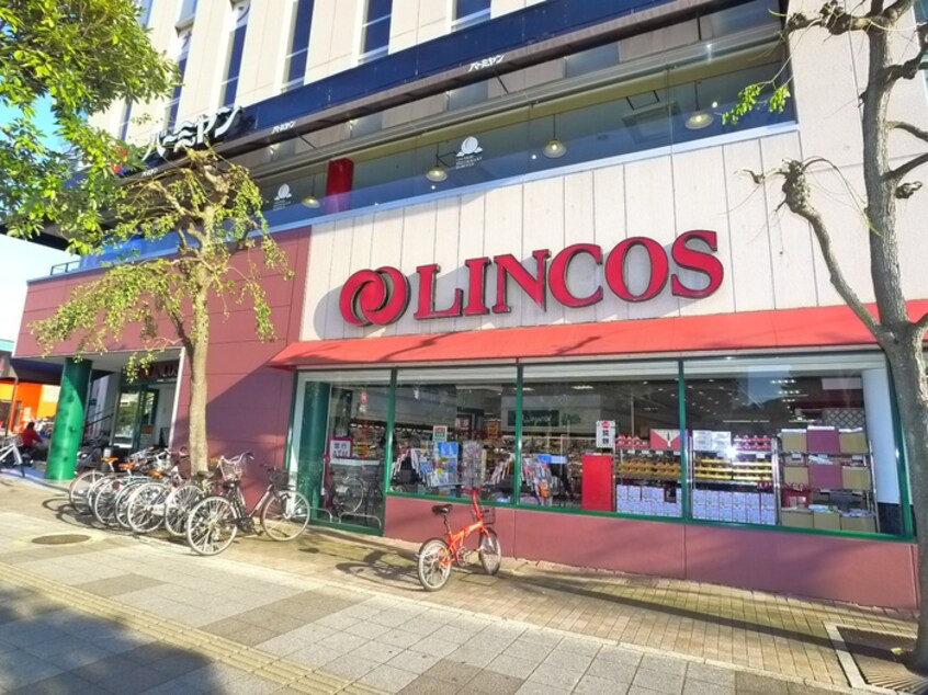 LINCOS(スーパー)まで778m パティオス１１番街（323）