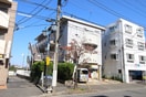 外観写真 ピアＴＹ