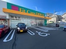 Fit Care DEPOT佐江戸町店(ドラッグストア)まで550m ユ－リ－ＮⅡ