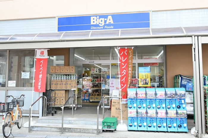 Big-A 板橋中丸店(スーパー)まで196m ハーモニーテラス南町