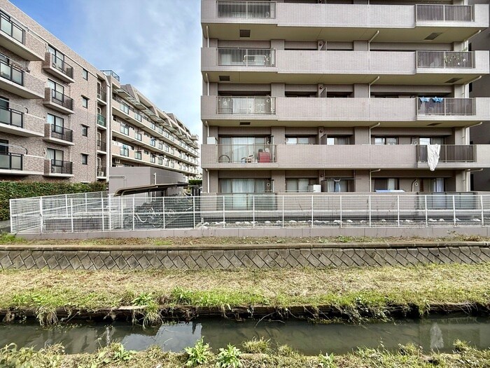 室内からの展望 ドミ－ル藤