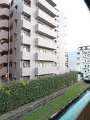 室内からの展望 ドミ－ル藤
