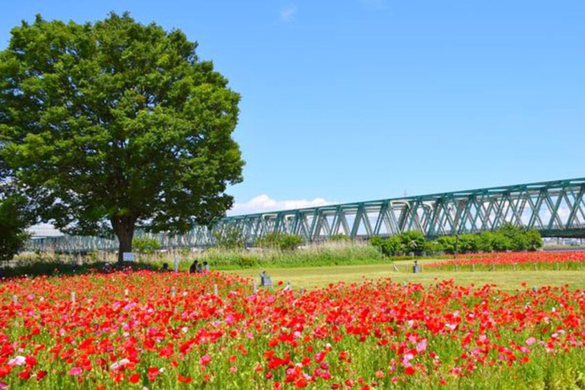 平井運動公園(公園)まで710m 鬼澤荘