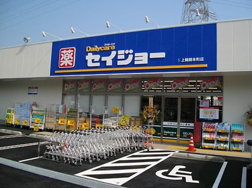 セイジョー(ドラッグストア)まで630m ステージ上鶴間本町