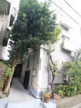 丹野ハウジング