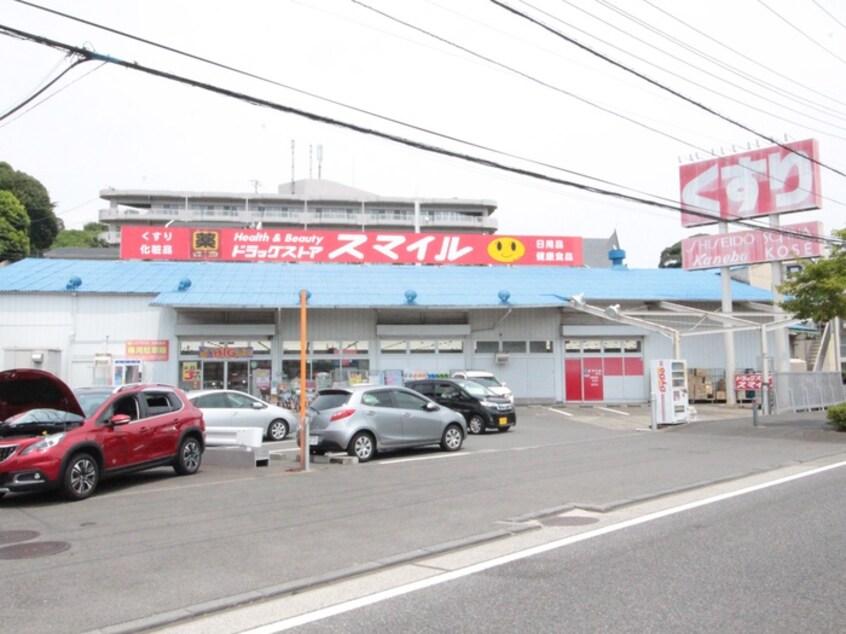 セイムス横浜三枚町店(ドラッグストア)まで1100m ミナトハイツ第1