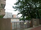 日枝小学校(小学校)まで248m シャンテ吉野町