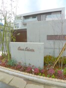 ｶｰｻｺﾗｯﾀの外観