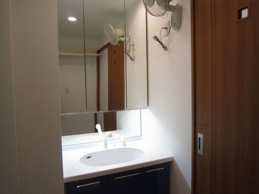 洗面 ロイヤルパークス新田