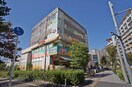 ドラッグサガミ(ドラッグストア)まで104m ロイヤルパークス新田