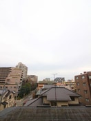 室内からの展望 ﾗｲｵﾝｽﾞﾏﾝｼｮﾝ中央林間第10（409）