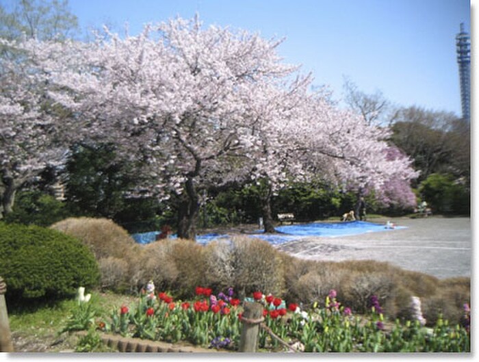 掃部山公園(公園)まで230m トップ桜木町第二(206)