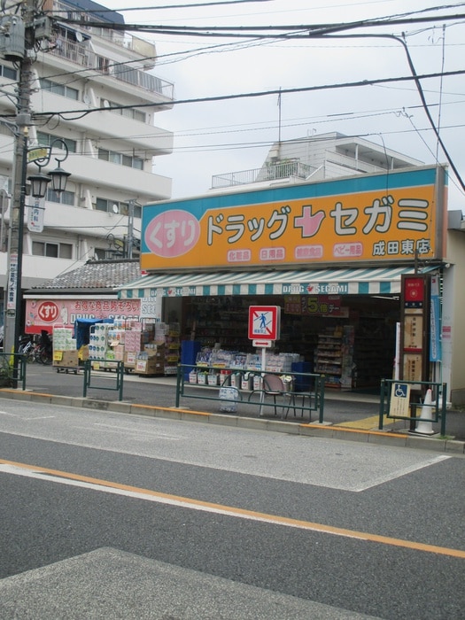 ドラックセガミ　成田東店(ドラッグストア)まで134m ADX南阿佐ヶ谷