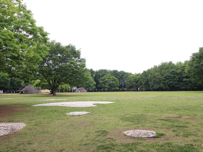 貝塚公園(公園)まで700m STAR　GRACE