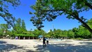 行船公園(公園)まで1300m カ－サカトレア